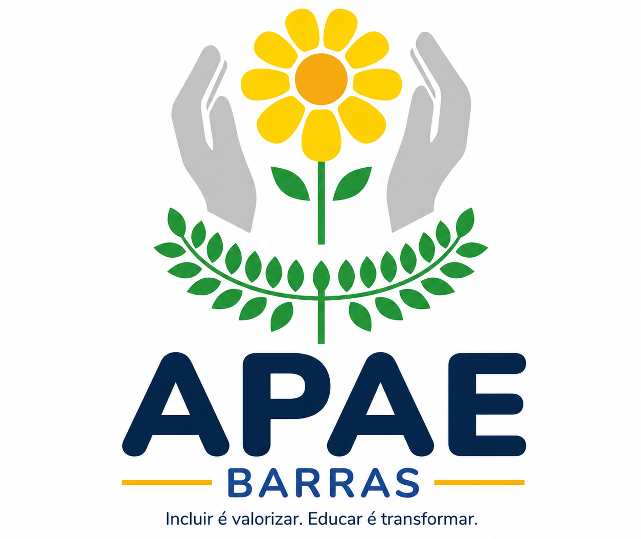 APAE  BARRAS PIAUÍ